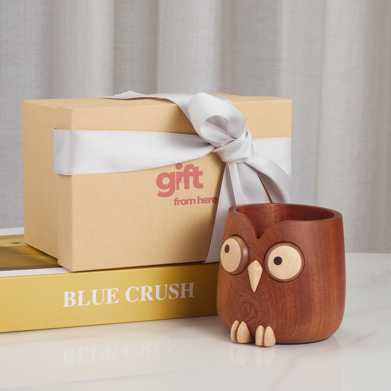 wooden owl pen holder gift set packaging